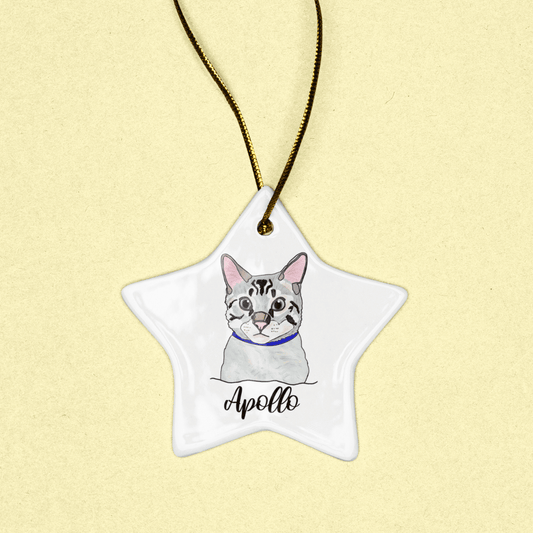 Celebrate Your Furry Friend: Custom Pet Ornaments for the Perfect Holiday Gift