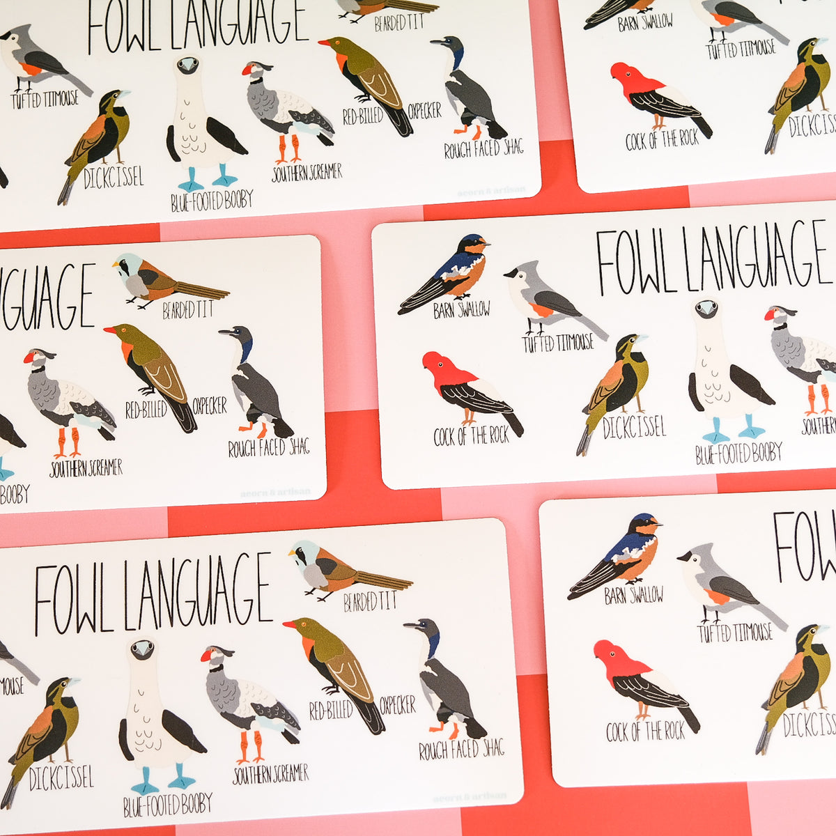 Fowl Language bumper sticker with nine birds and their names.