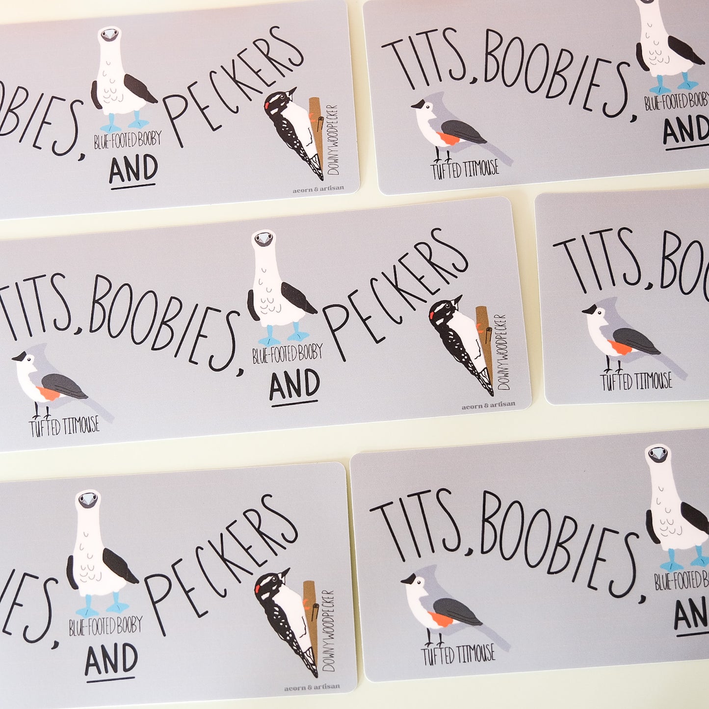 Bumper Sticker – Bird Pun Illustration