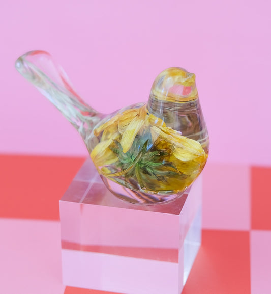 Sunflower Bird