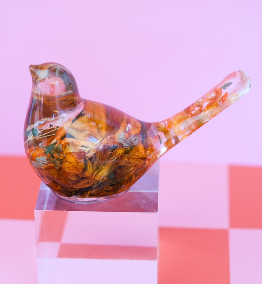 Autumn Bird