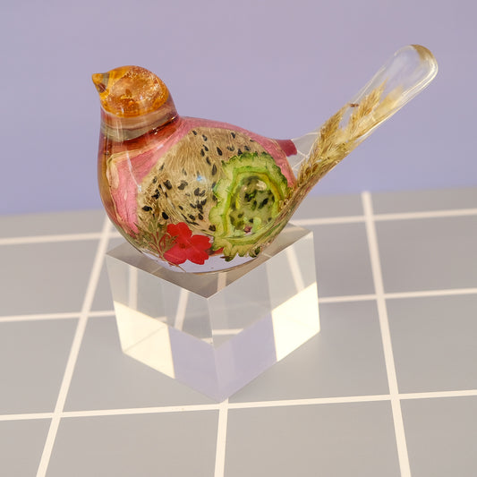 Dragonfruit Garden Bird