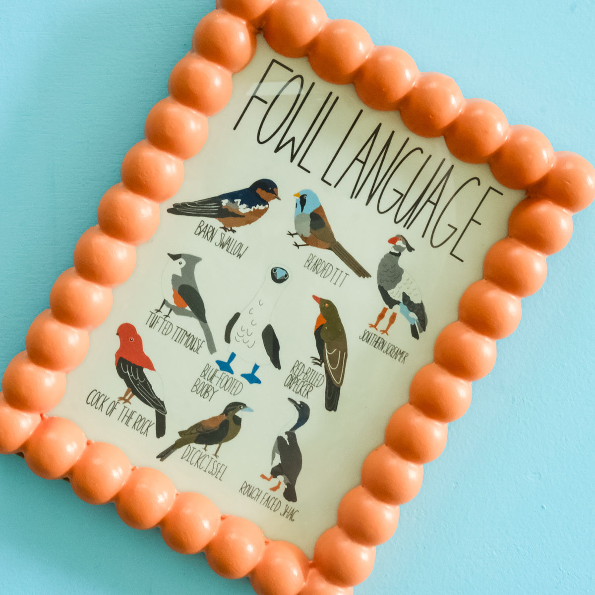 Fowl Language Art Print