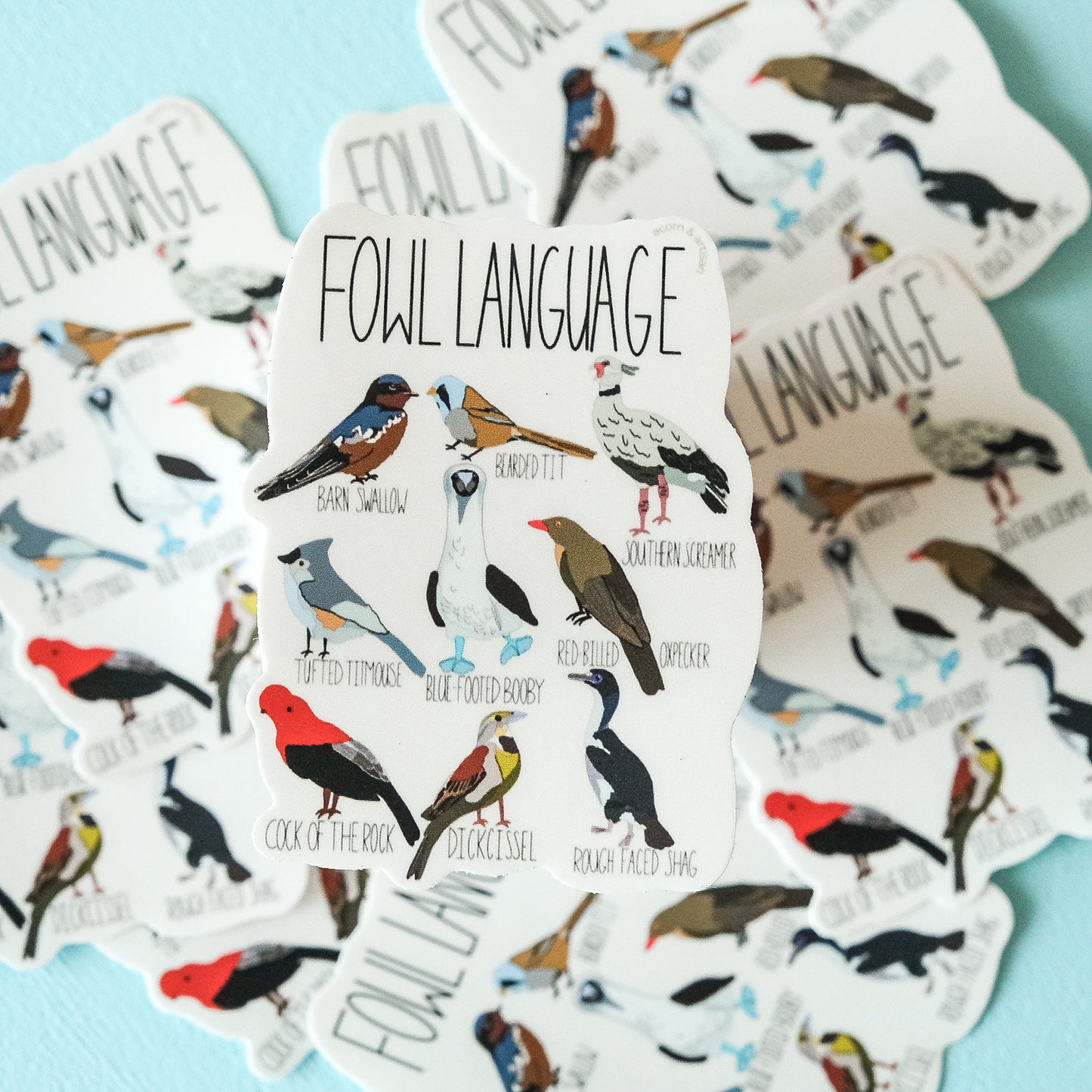 Fowl Language Sticker – Funny Bird Pun Vinyl Decal | Acorn & Artisan