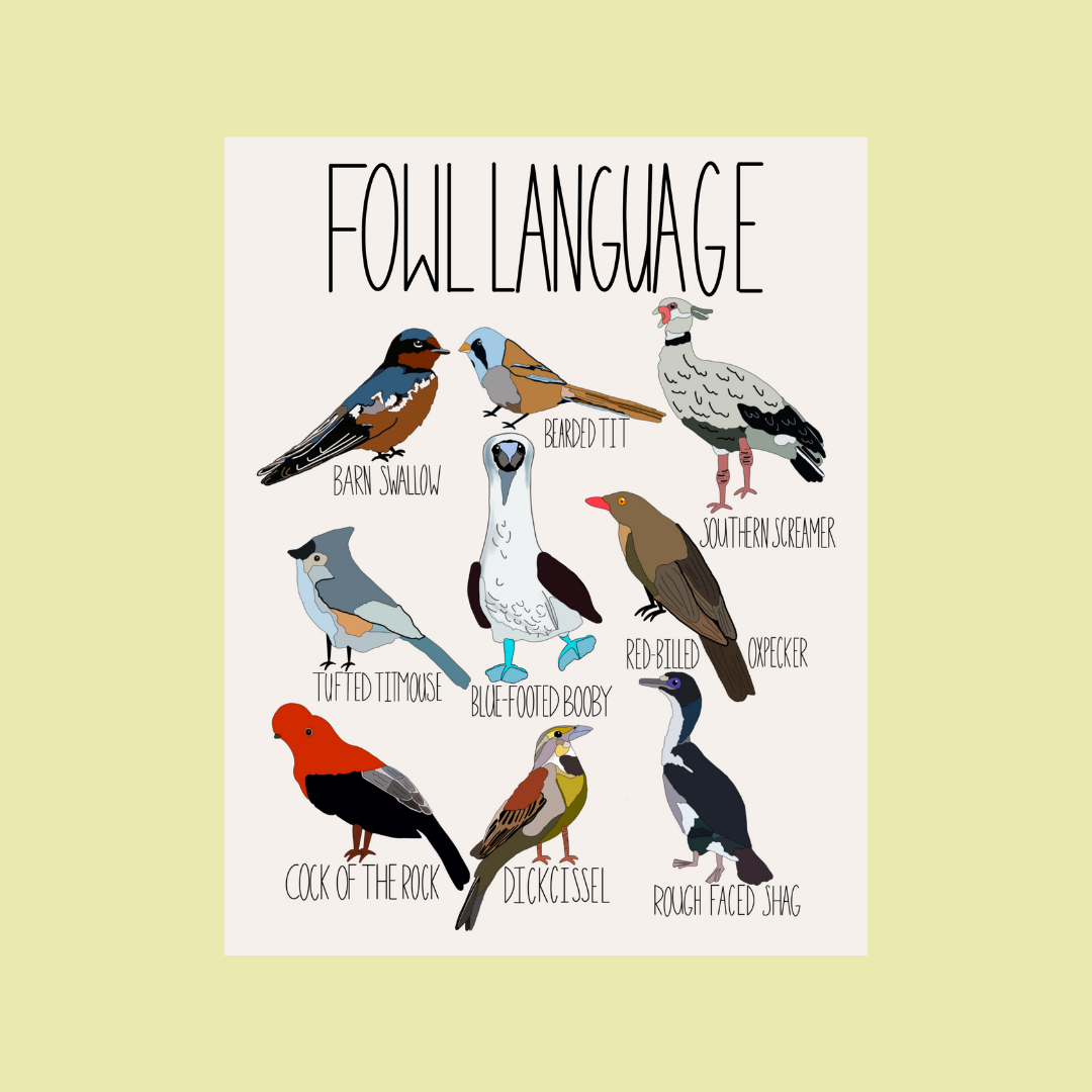 Playful 'Fowl Language' poster featuring colorful illustrations of birds, including the blue-footed booby and dickcissel, on a clean light background. Perfect wall art for bird lovers and pun enthusiasts.