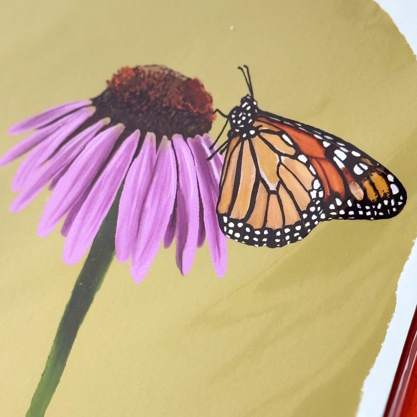 Monarch Butterfly and Coneflower Art Print