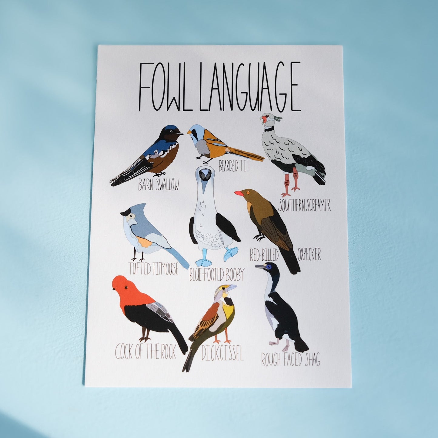 Art Print – Fowl Language Bird Illustration