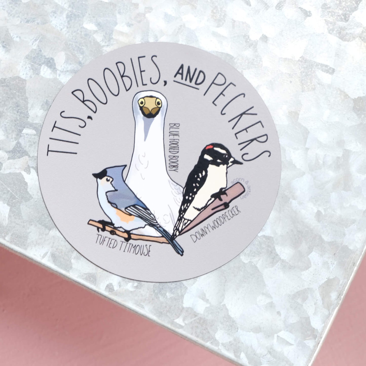 magnet showing a tufted titmouse, blue footed booby, and a downy woodpecker with the title tits, boobies, and peckers