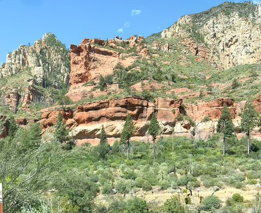 Journeying Through Arizona: The Spark Behind "Desert Luxe"