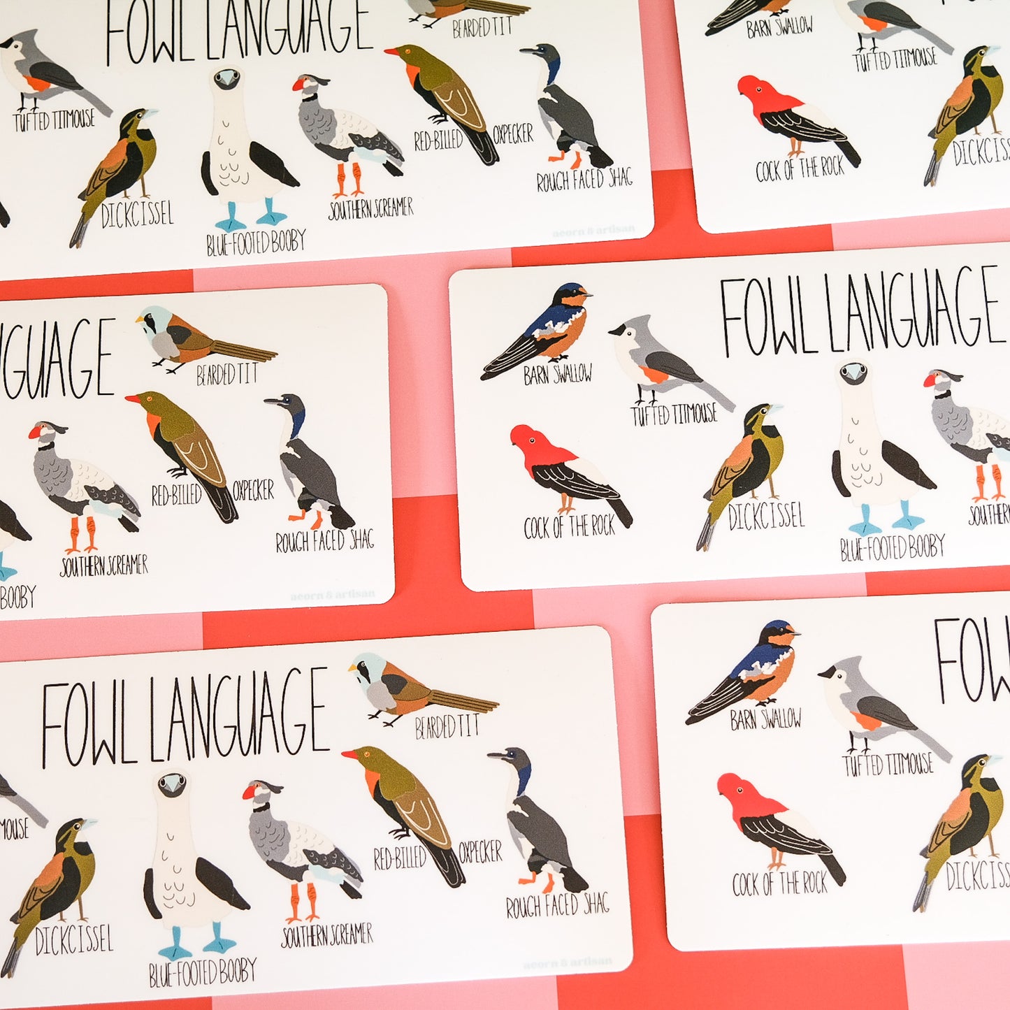 Bumper Sticker – Fowl Language Bird Illustration