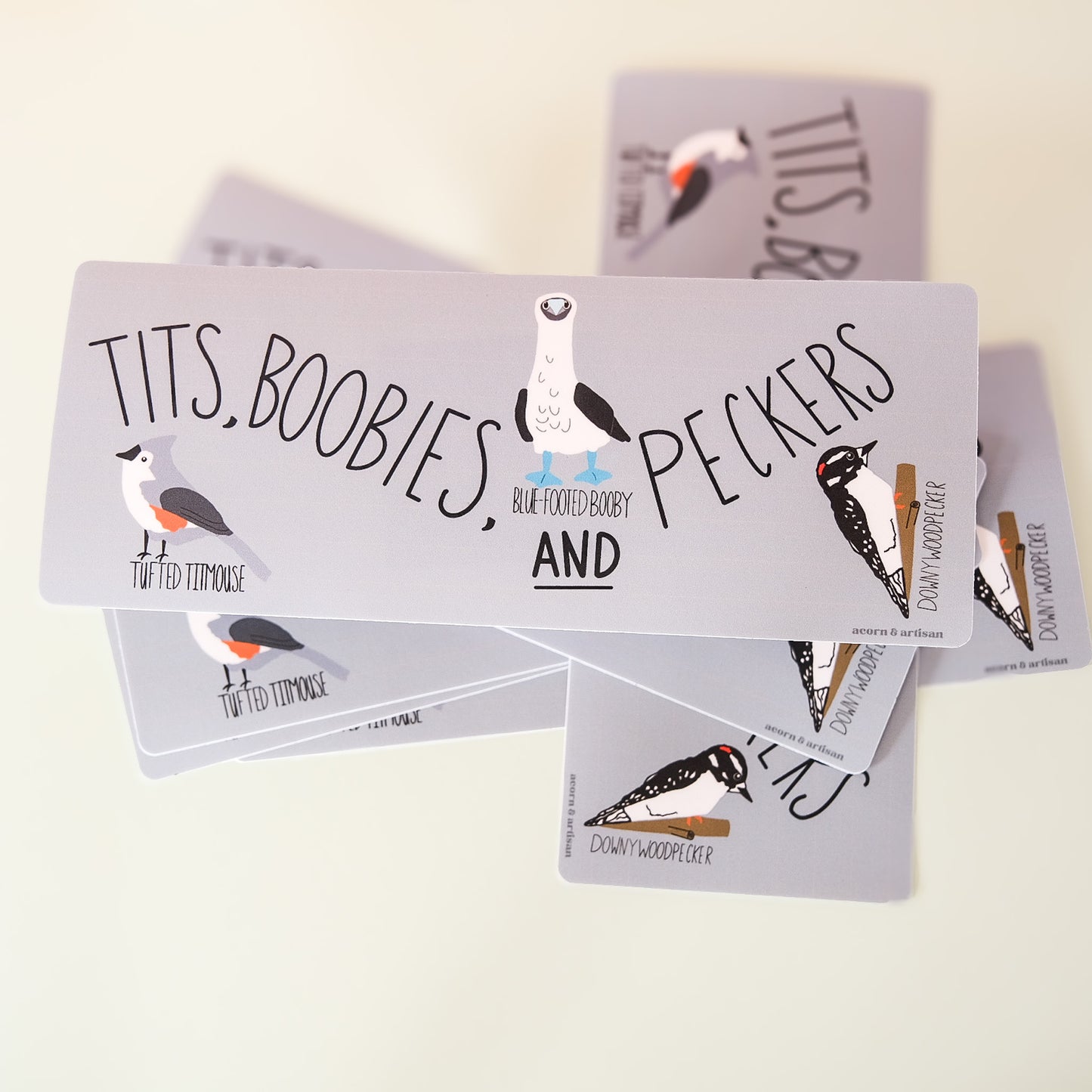 Bumper Sticker – Bird Pun Illustration