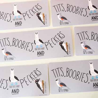 Bumper Sticker – Bird Pun Illustration