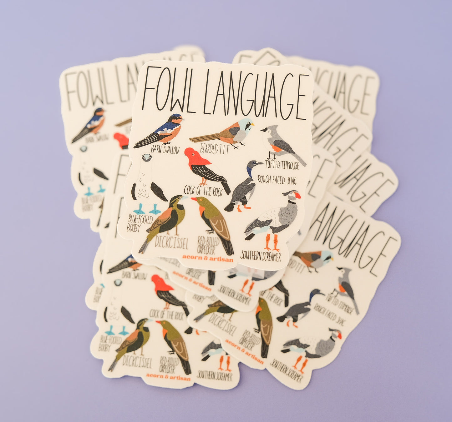 Fowl Language Vinyl Sticker – Funny Bird Sticker
