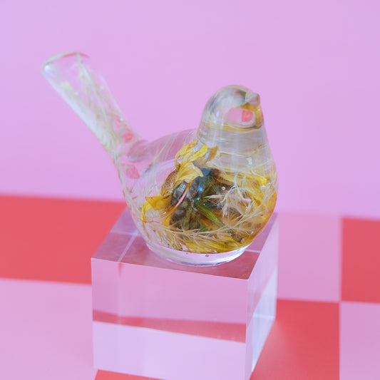 Yellow Meadow Bird