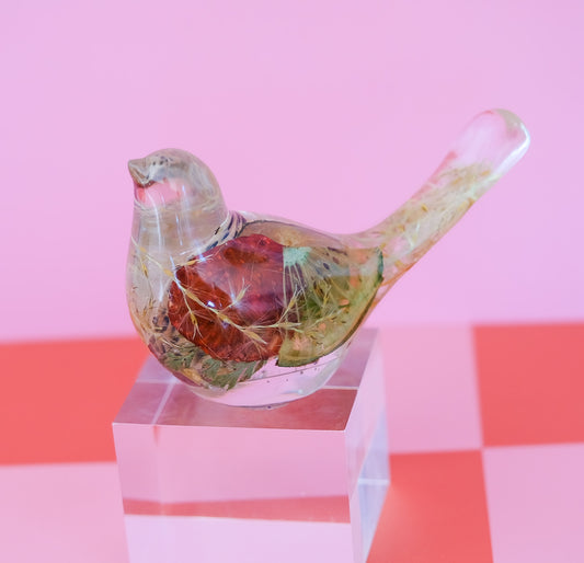 Dragonfruit Bird