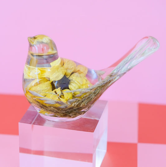 Sunflower Bird