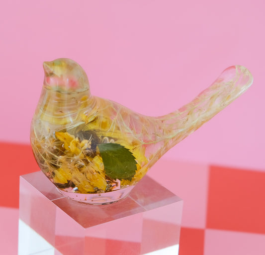 Golden Meadow Bird