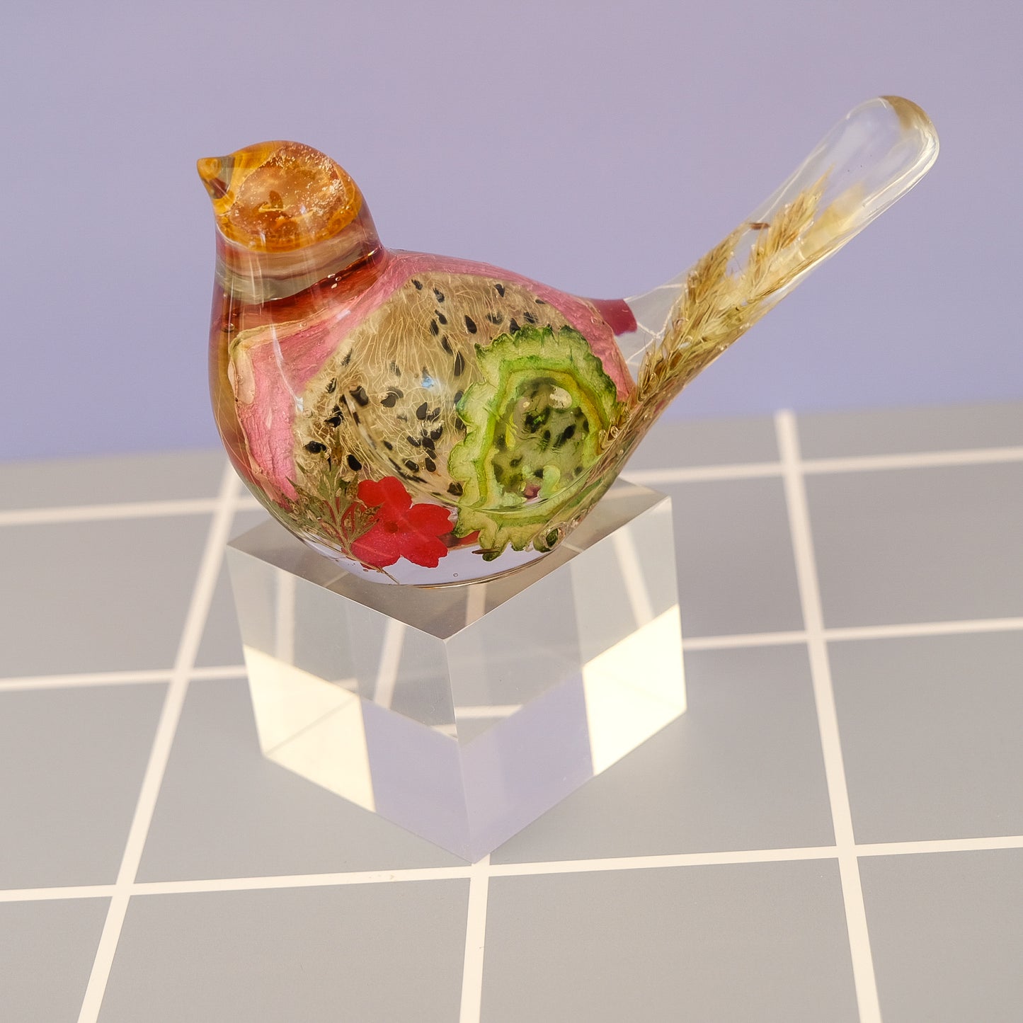 Dragonfruit Garden Bird