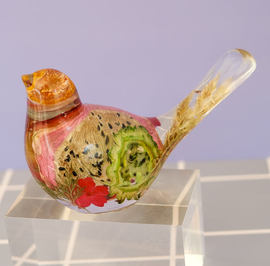 Dragonfruit Garden Bird