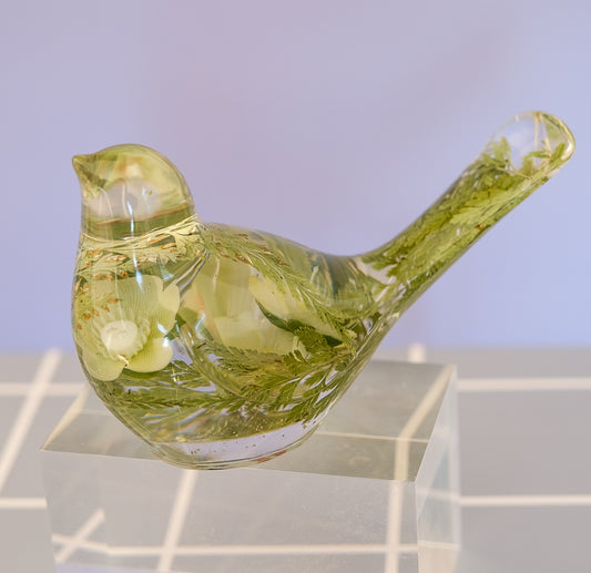 Evergreen Bird