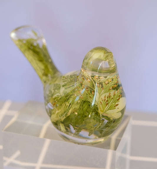 Evergreen Bird