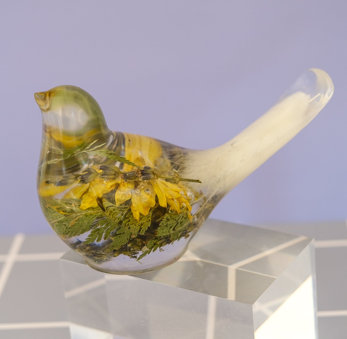 Buttercup Bird