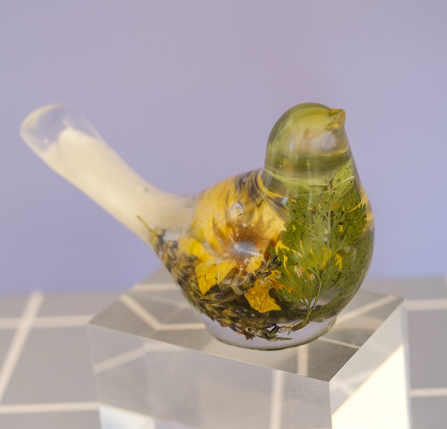 Buttercup Bird