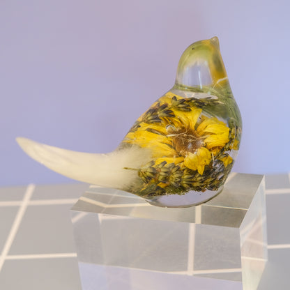 Buttercup Bird