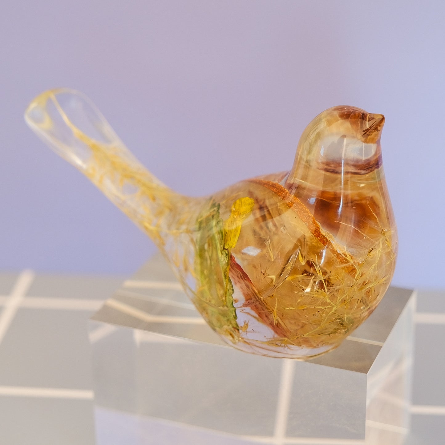 Golden Citrus Bird