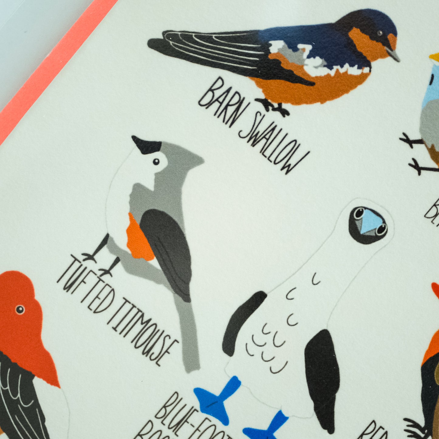 Fowl Language Blank Greeting Card