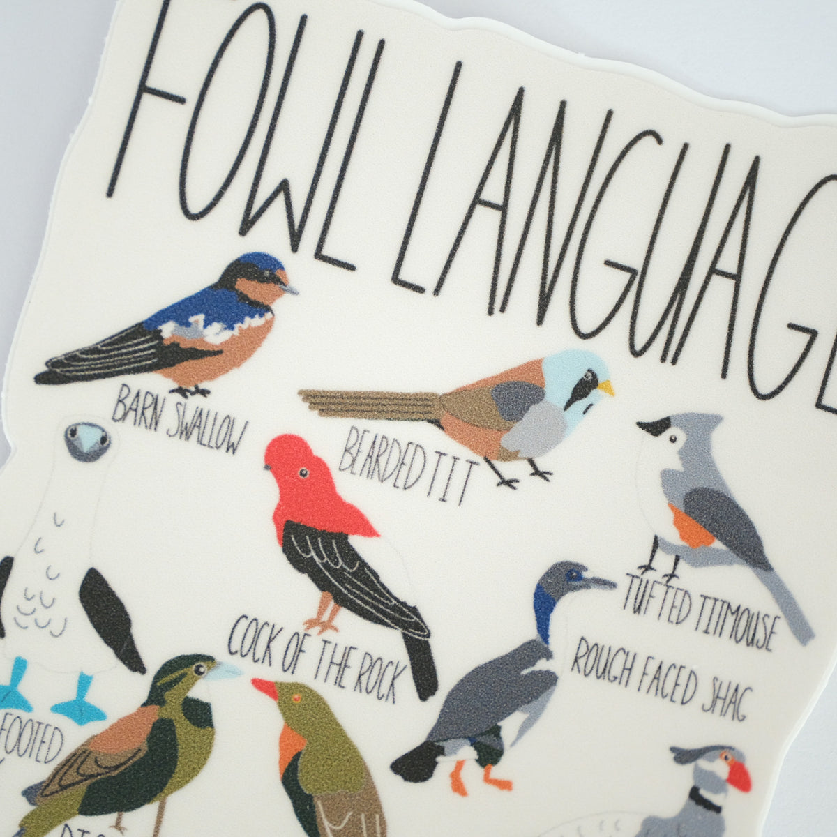 Close-up of Fowl Language Camp Mug, showing the illustrated design and product details