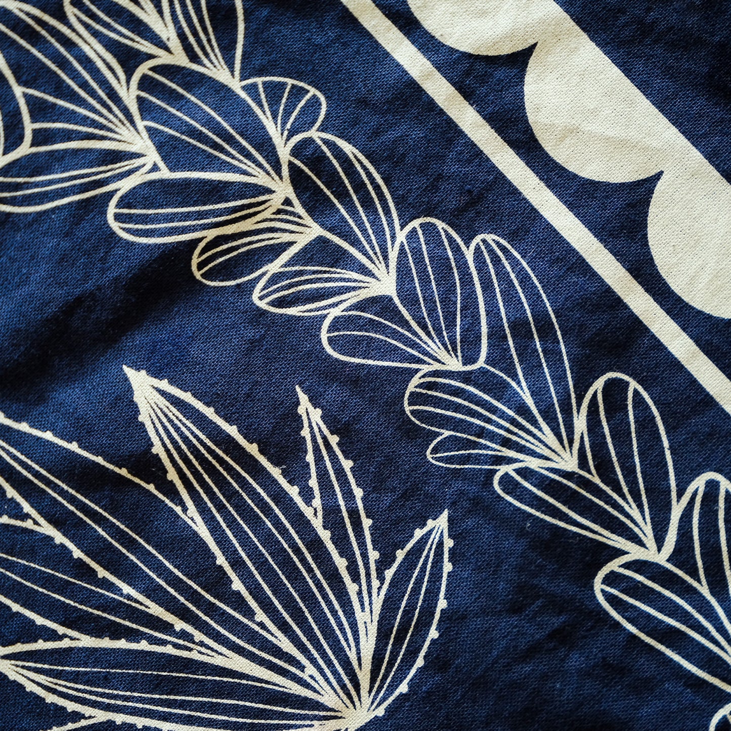 Mexican Long-Nosed Bat Bandana | Midnight Pollinator Cotton 22" × 22"