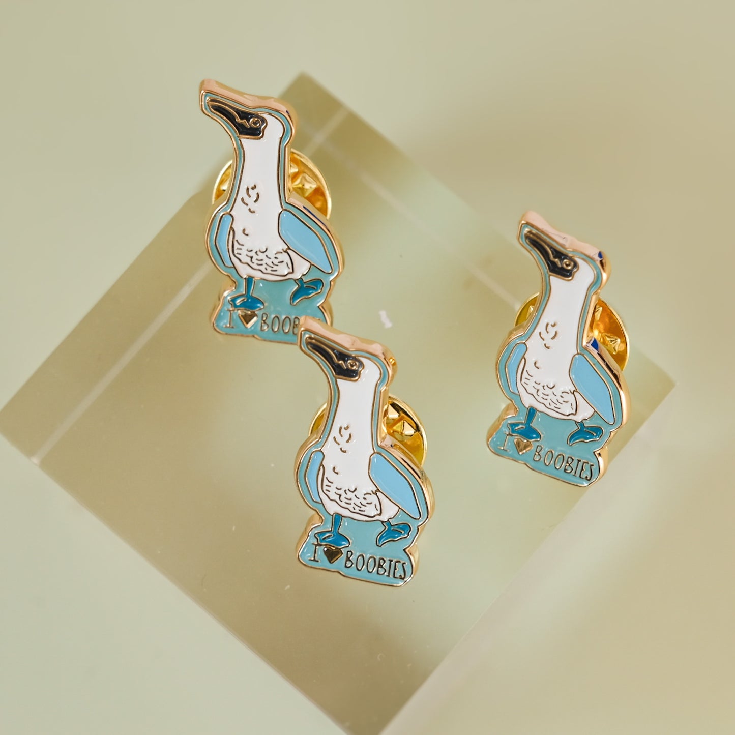 Blue-Footed Booby Enamel Pin | 1" Hard Enamel
