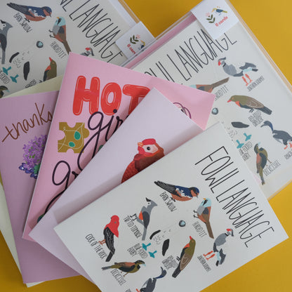 The Card Stash | Assorted Greeting Card Set of 6