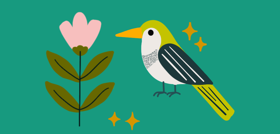 curiously fun goods for nature lovers - acorn and artisan logo and slogan