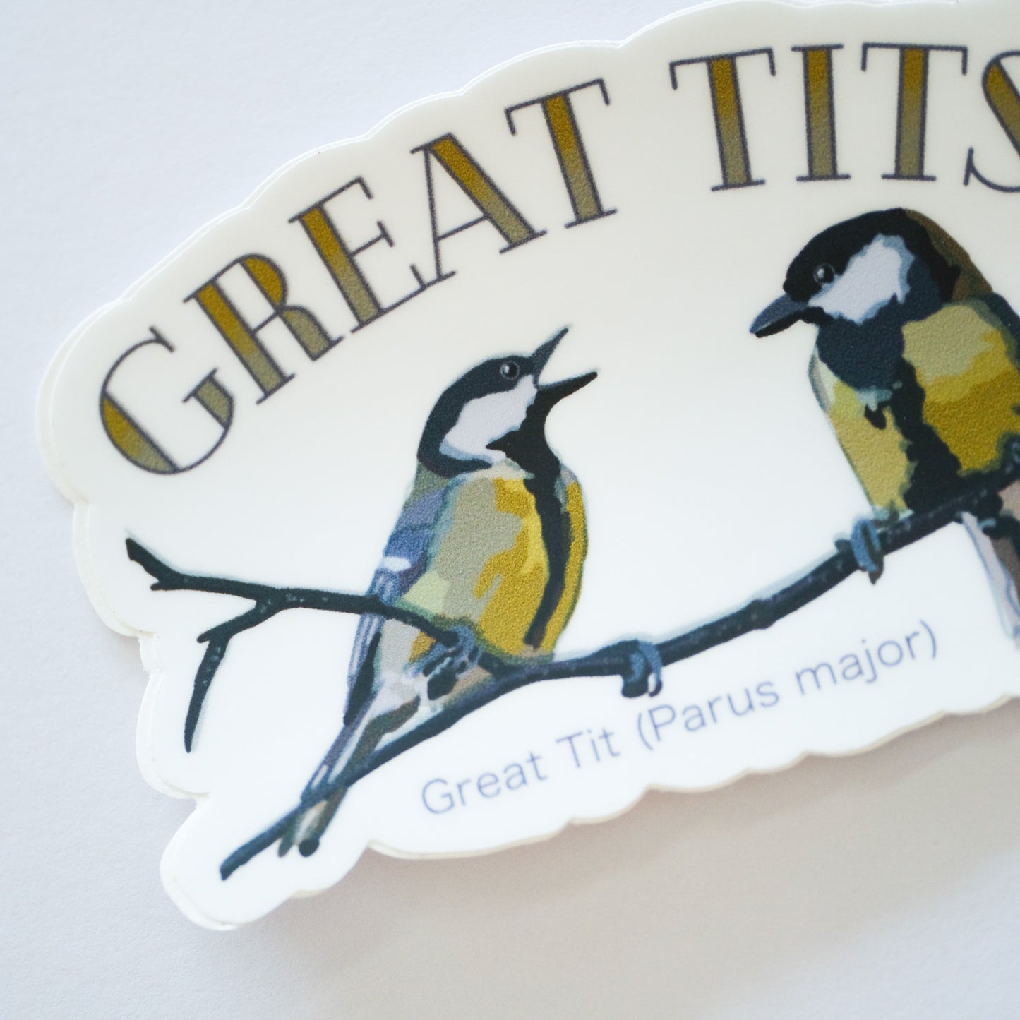 Great Tit Vinyl Sticker | 3" Waterproof Vinyl