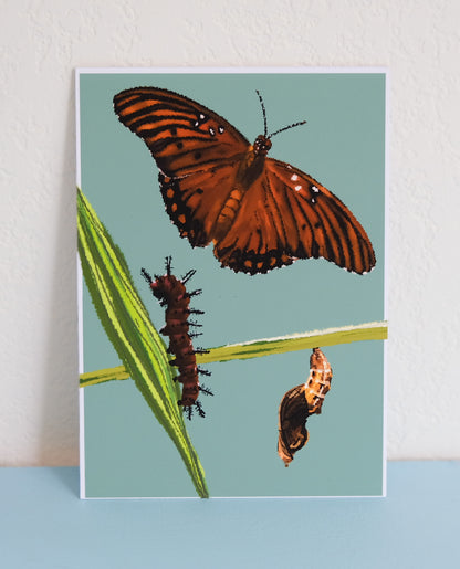 Art Print – Gulf Fritillary Butterfly Life Cycle Illustration