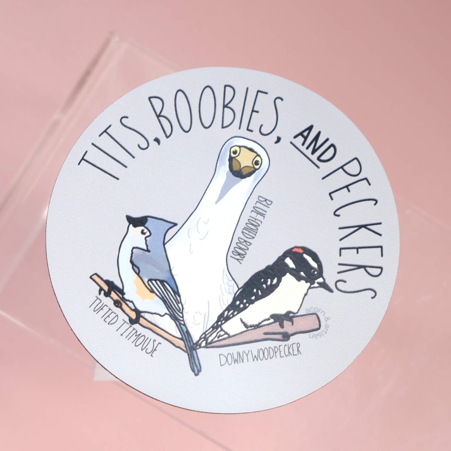 magnet showing a tufted titmouse, blue footed booby, and a downy woodpecker with the title tits, boobies, and peckers
