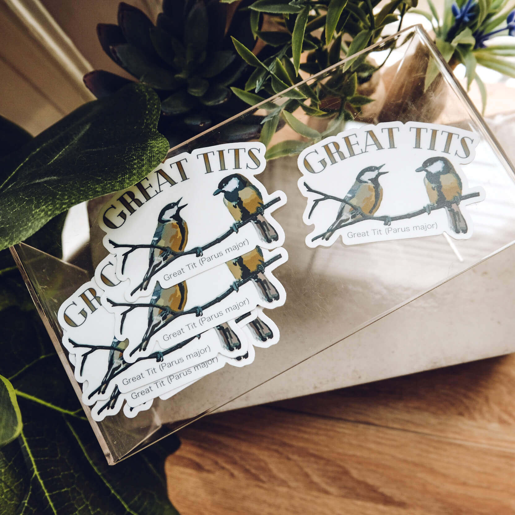Stickers laid out on table showing great tits title and two great tits birds sitting below. 