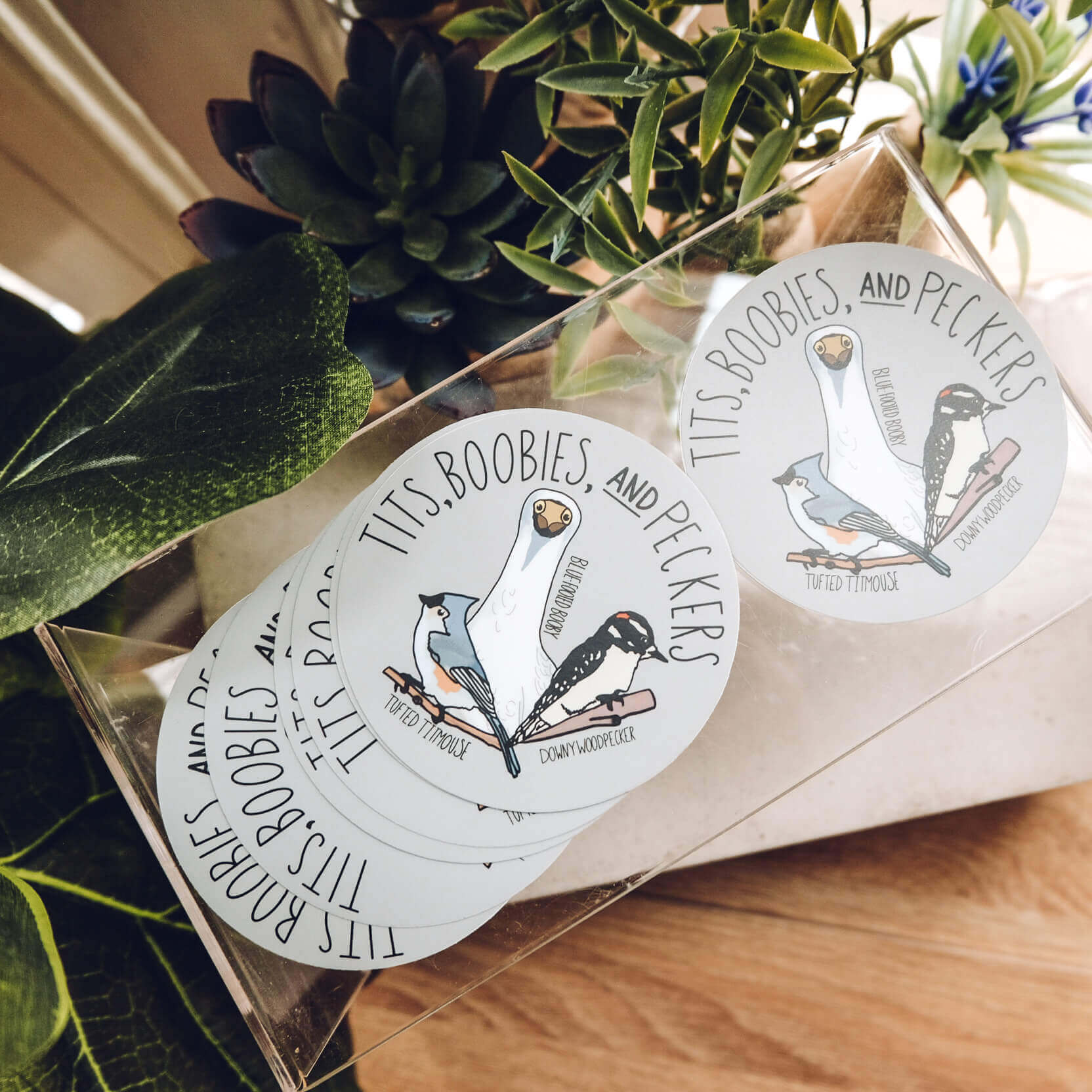 sticker showing a tufted titmouse, blue footed booby, and a downy woodpecker with the title tits, boobies, and peckers