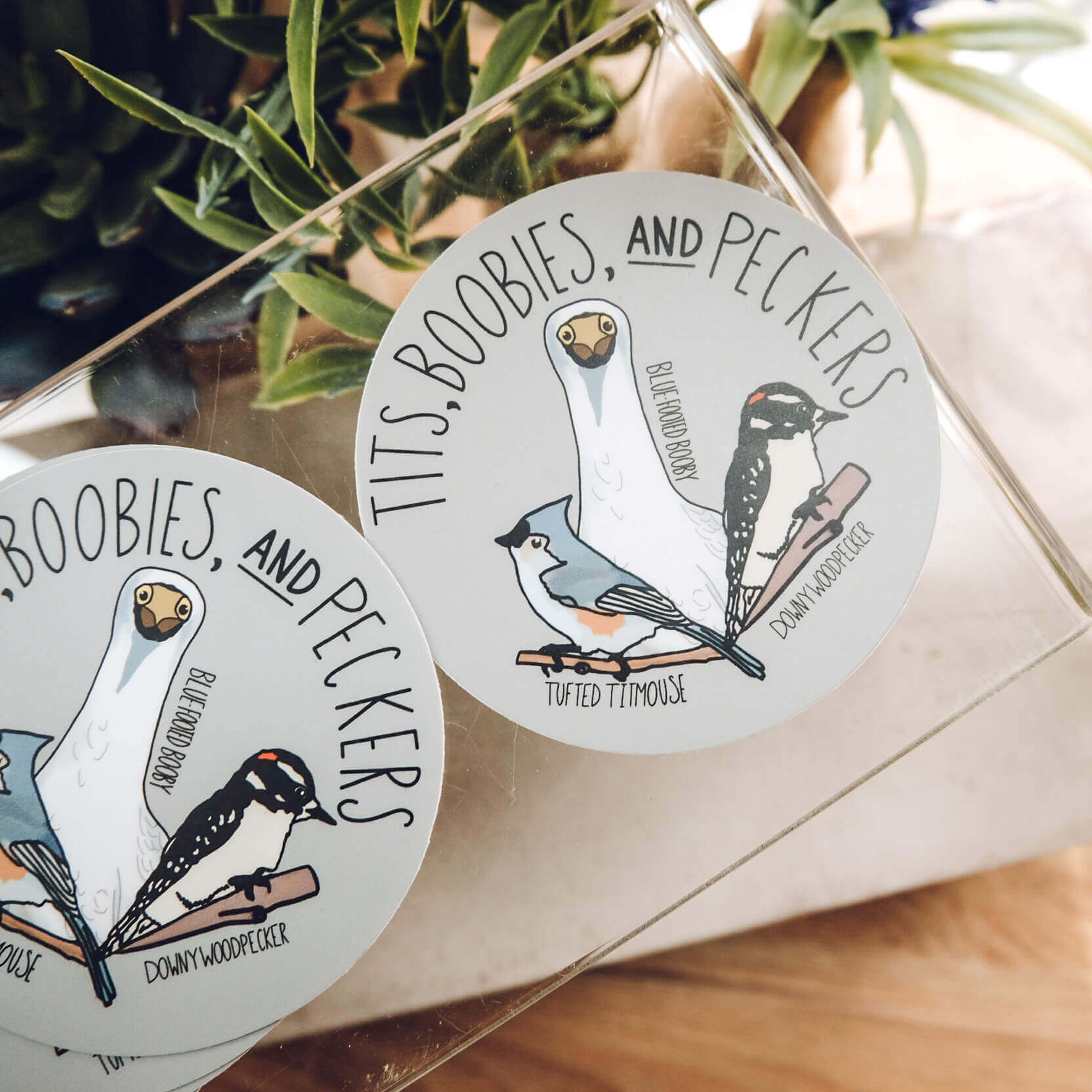 sticker showing a tufted titmouse, blue footed booby, and a downy woodpecker with the title tits, boobies, and peckers